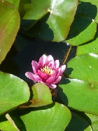 Clique pour agrandir ...